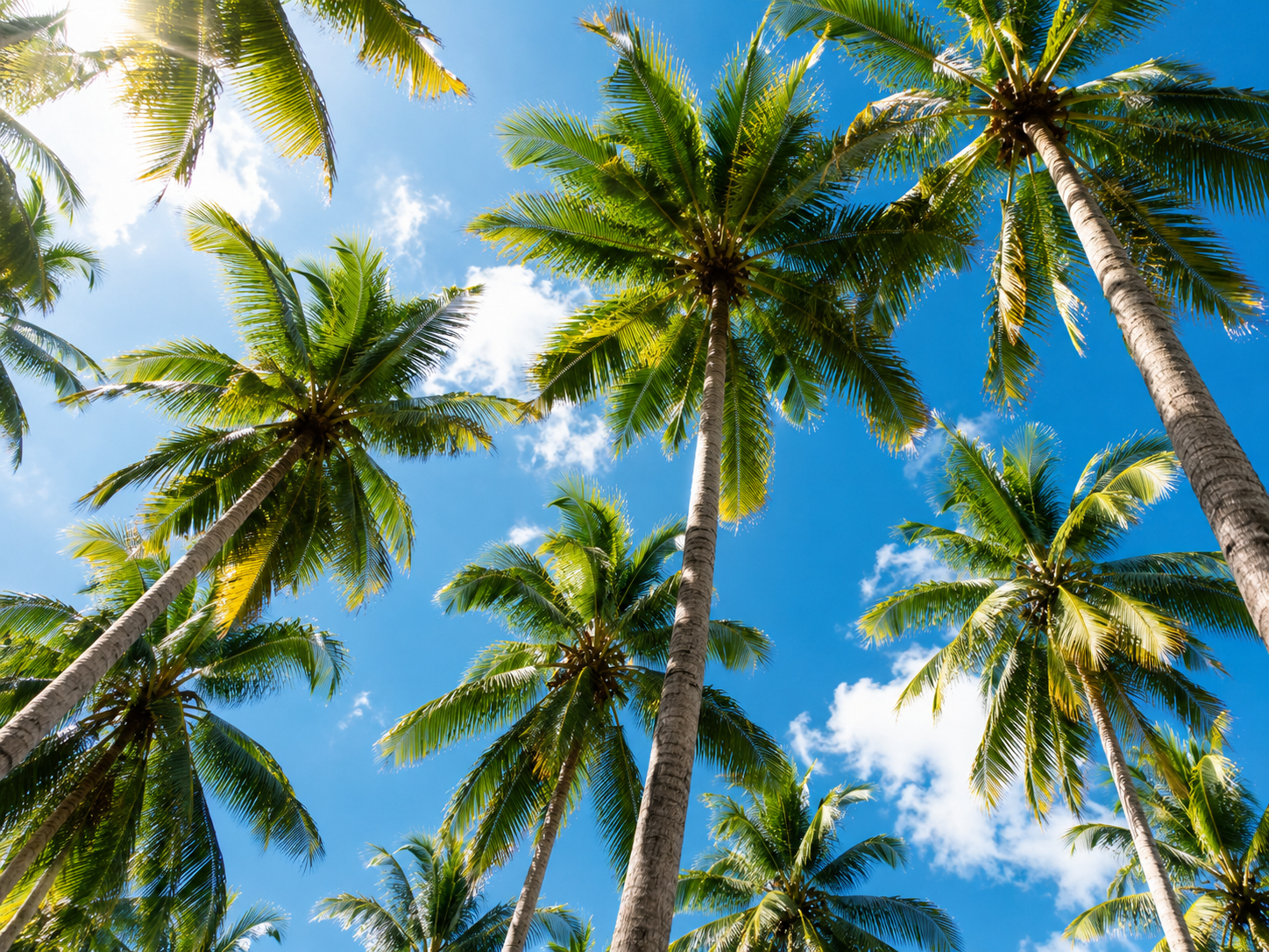 Siargao: Best Island in the World